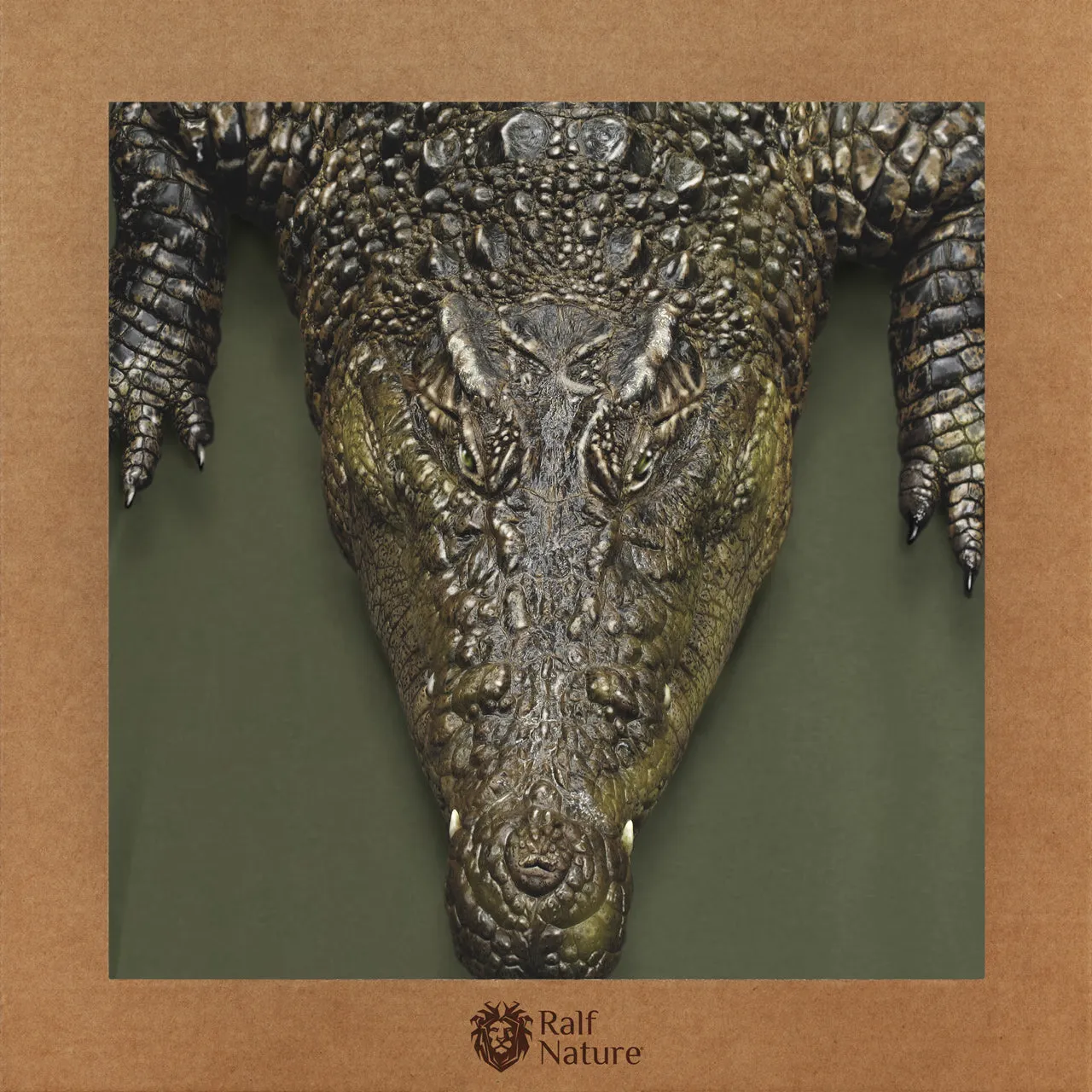 Crocodile T-Shirt