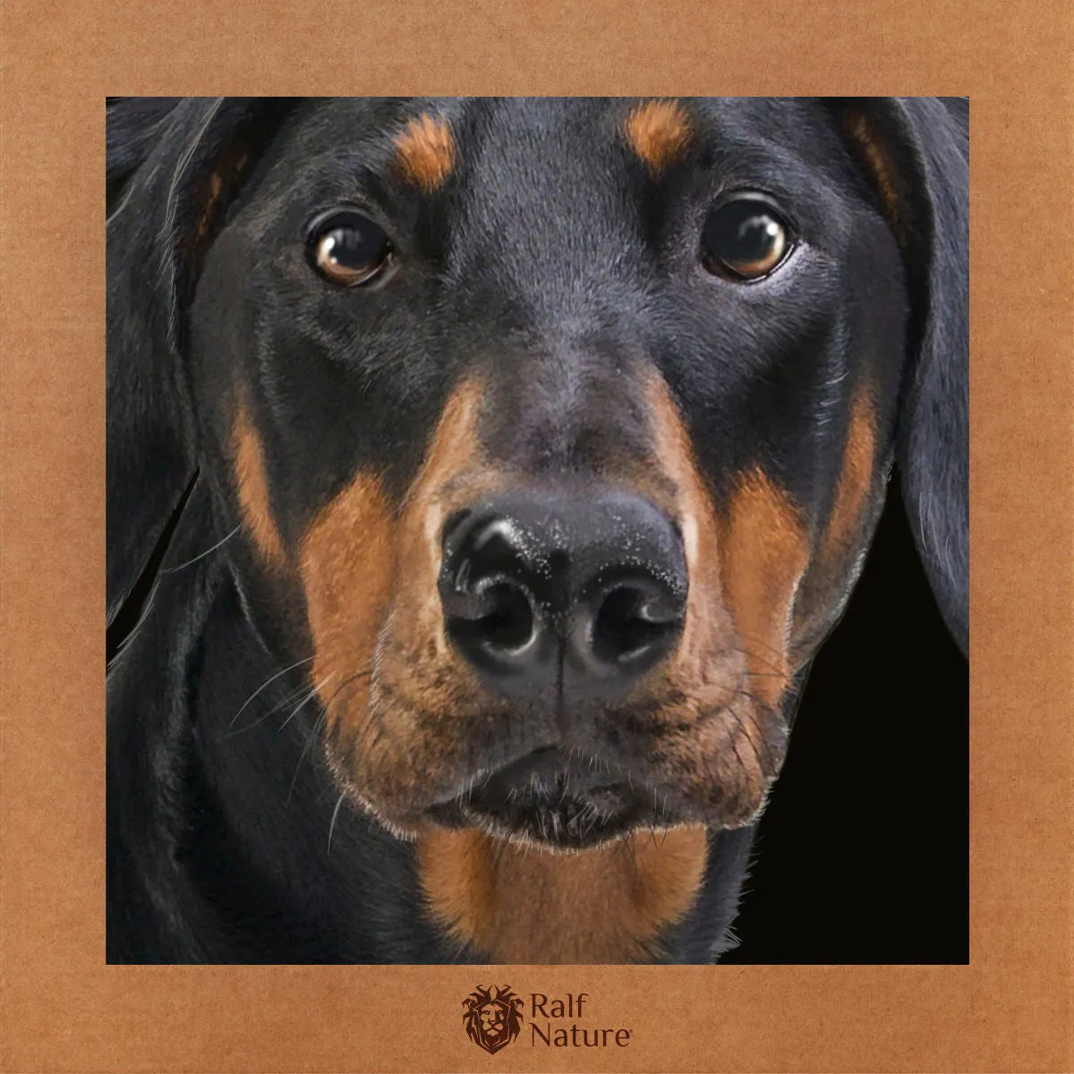 Doberman T-Shirt