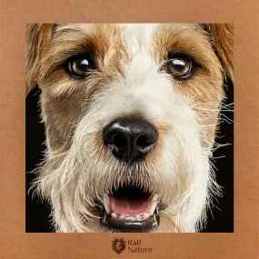 Jack Russell Longhaired T-Shirt