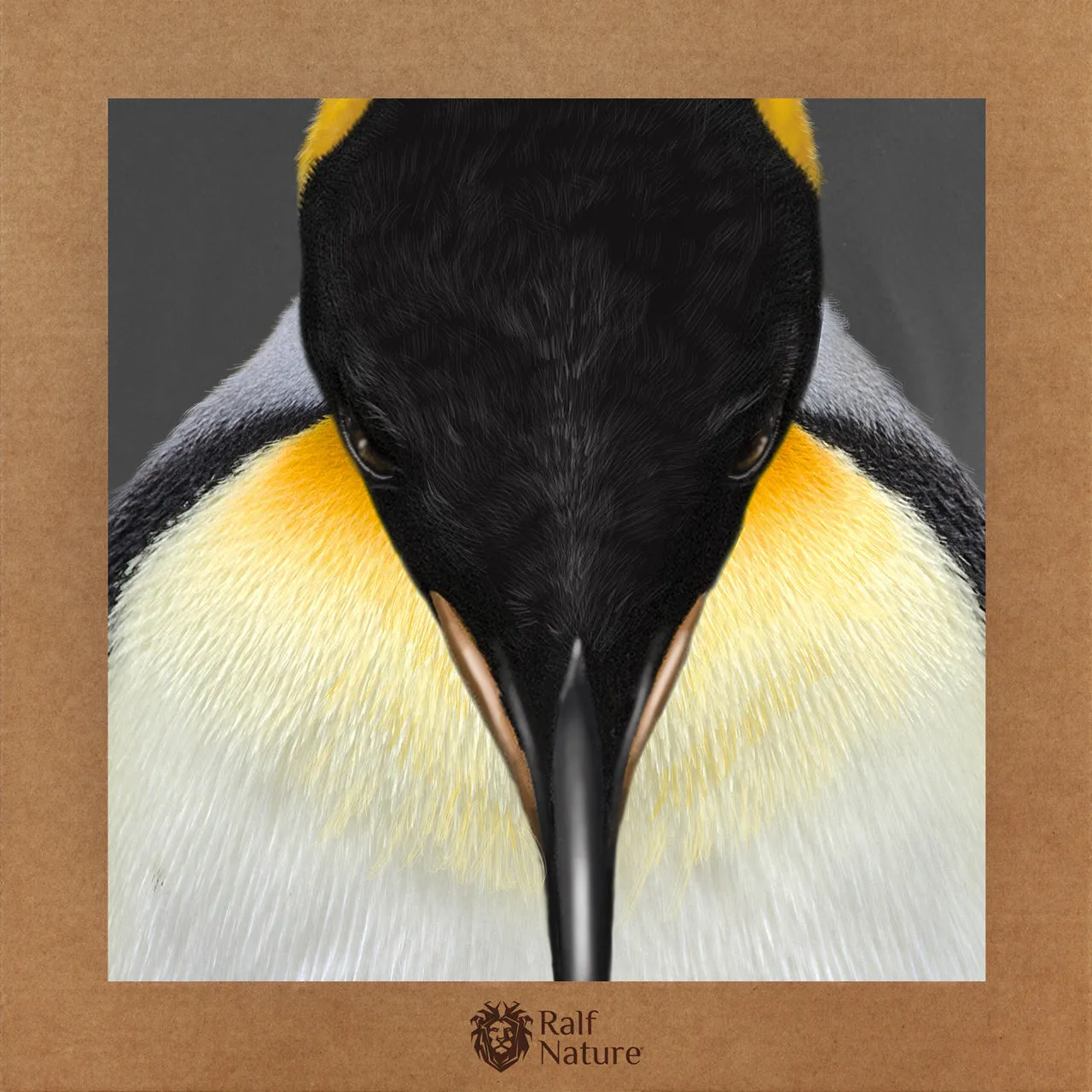 King Penguin Head T-Shirt