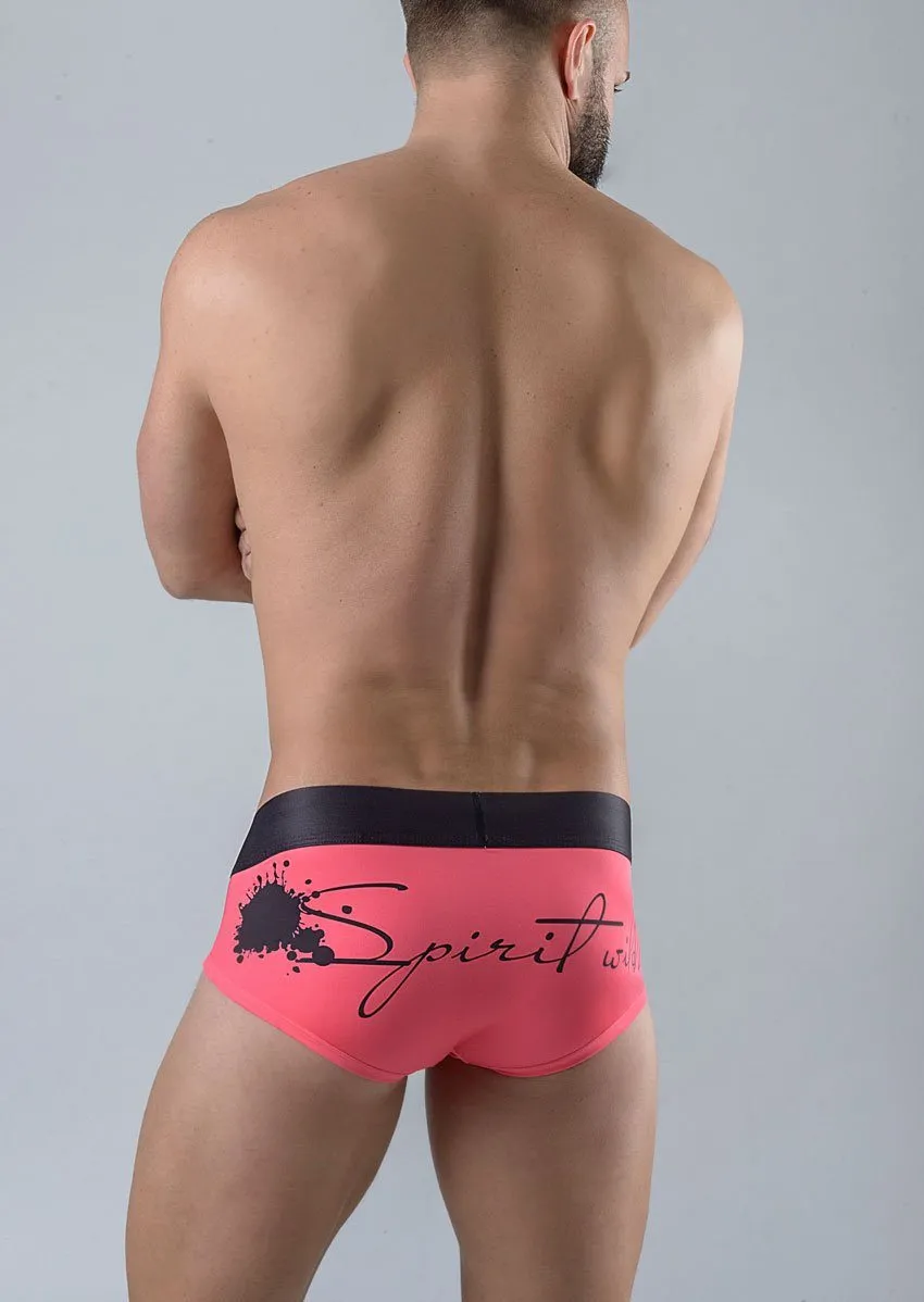 Men Briefs 1756s2