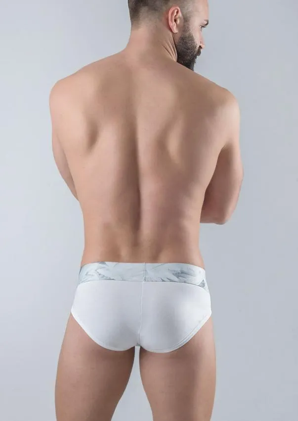 Men Briefs 1764s2