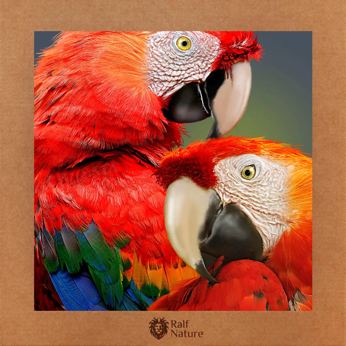 Red Parrots T-Shirt