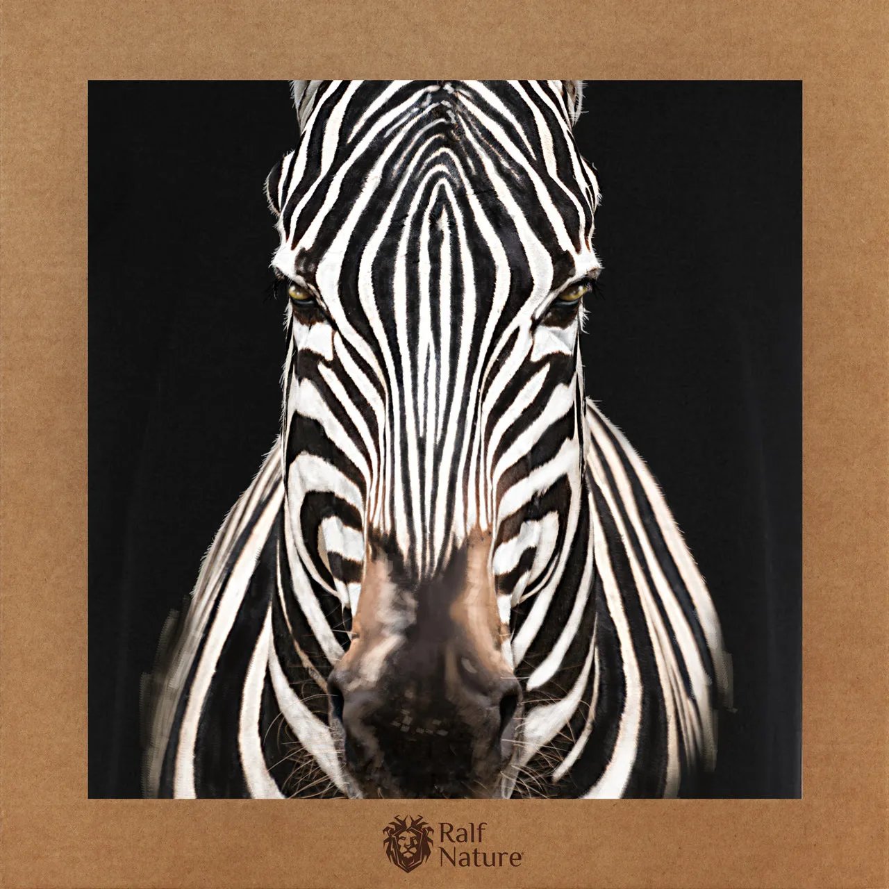 Zebra Front T-Shirt